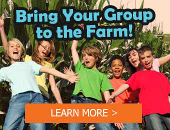 Bring your group to the farm (Burden, Kansas)